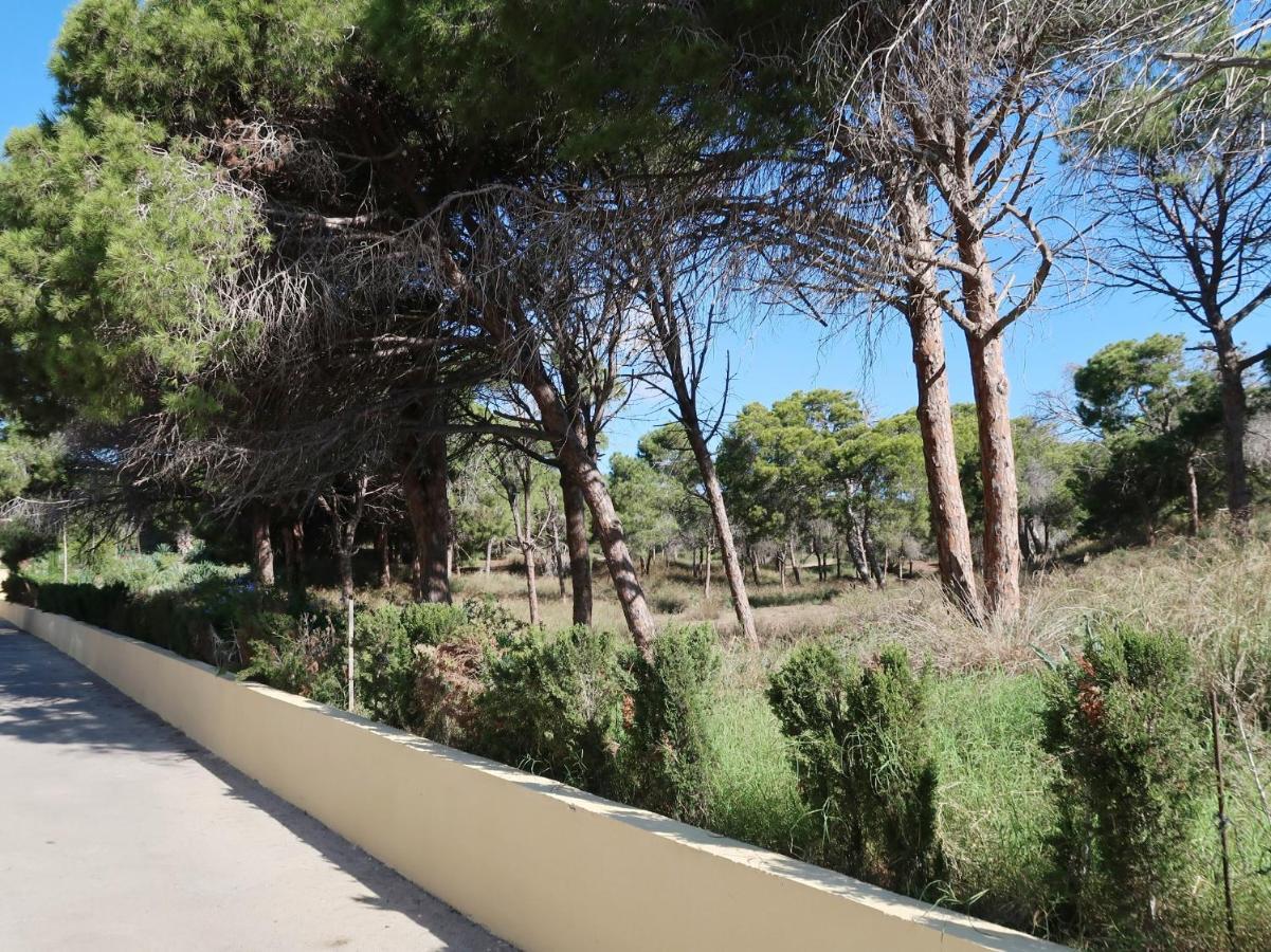Emilia De La Playa Apartment La Mata  Exterior photo